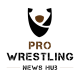 Pro Wrestling News Hub Logo
