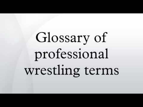 pro wrestling terms