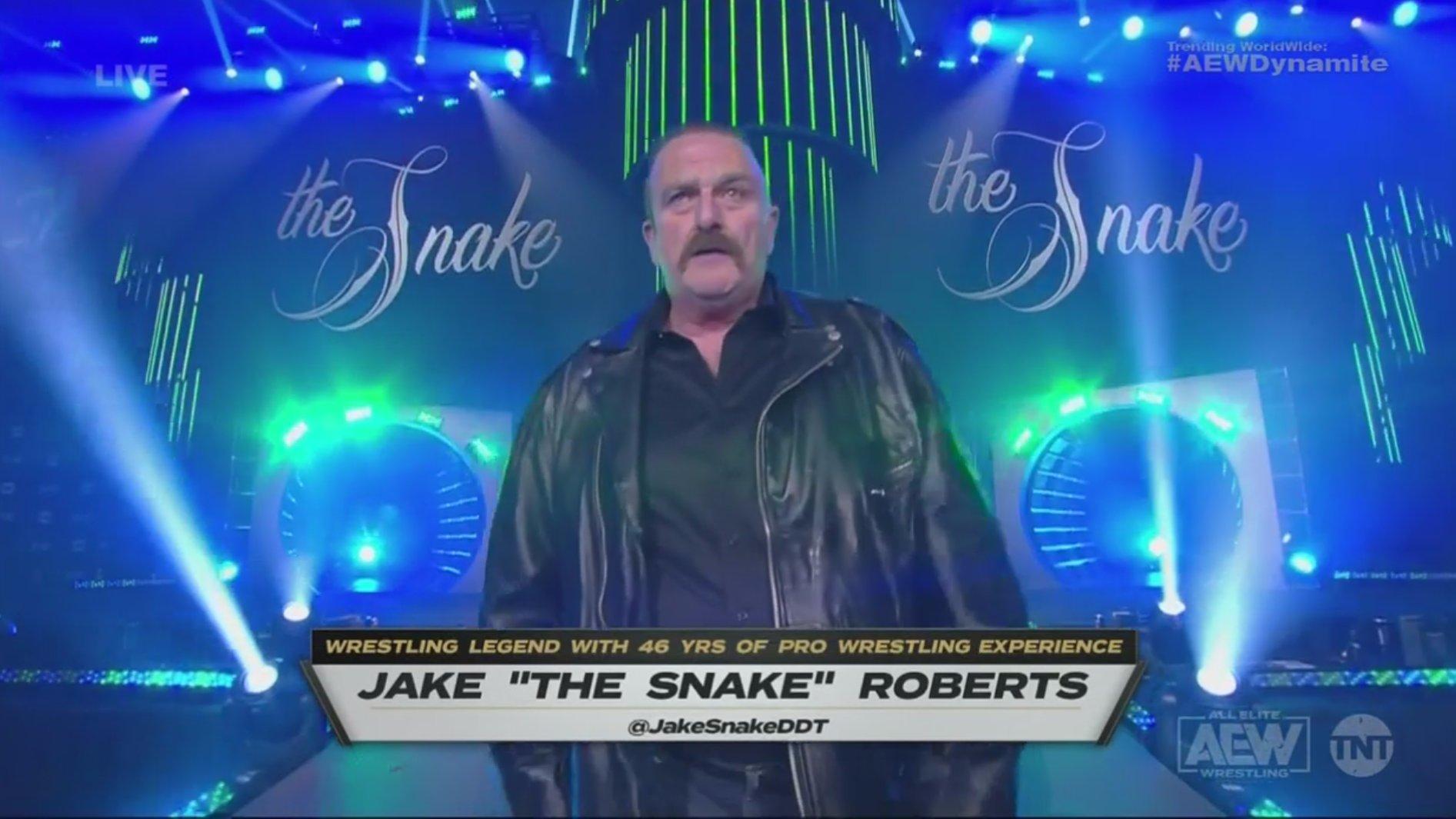 jake the snake 2021